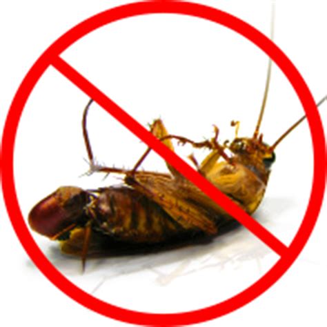 Do cockroaches hate air conditioning?