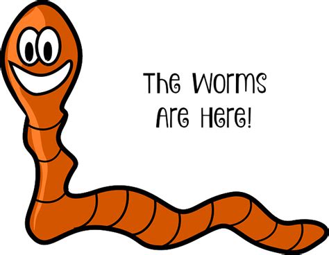 How much worms eat a day?