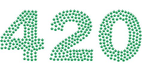 How long does weed stay good?