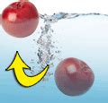 Why are apples less dense than water?