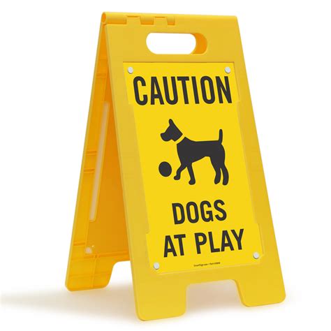 Why Do Dogs Play Keep Away? - Rewrite The Rules