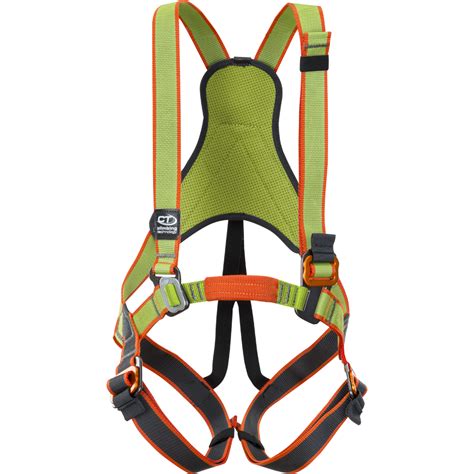 What is the purpose of a harness?