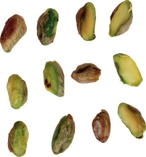 How do you know if pistachios have gone bad?