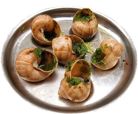 Are Muslims allowed to eat snails?