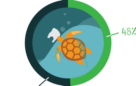 Can turtles see black objects?