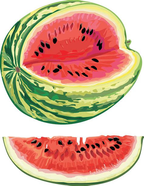 How long does it take to poop out watermelon?