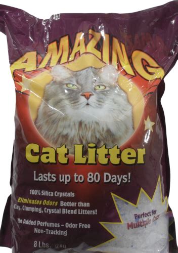 Will cats use rice as litter?