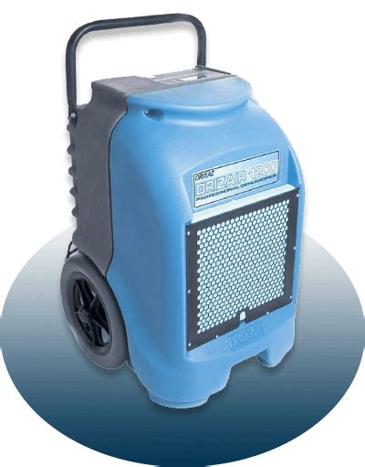 Does a dehumidifier help with mold?