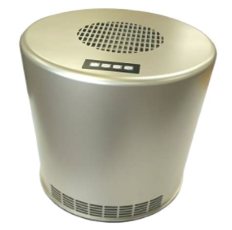 Can air purifier remove mold?