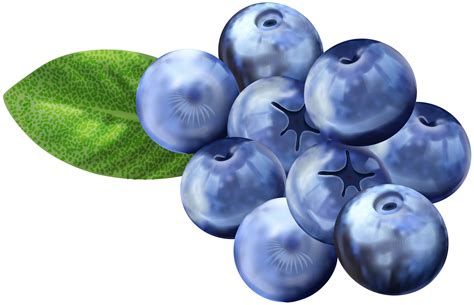 Is Miracle Grow good for blueberries?