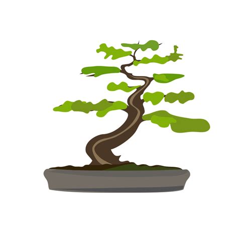 What does an unhealthy bonsai tree look like?