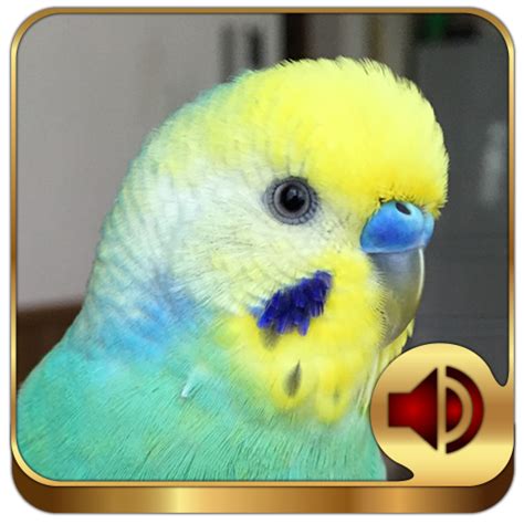 Why does my bird look like its panting?