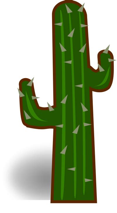 How do you keep a cactus upright?