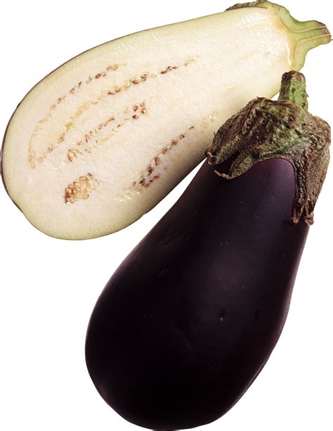 What happens if you leave eggplant on the plant too long?