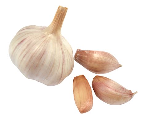 Can you water garlic too much?