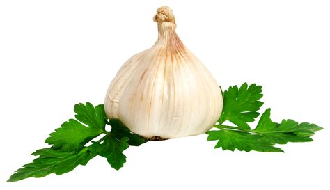 Why are garlic cloves so small now?