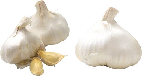Can you eat tiny garlic?