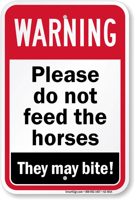 How can I encourage my horse to eat?