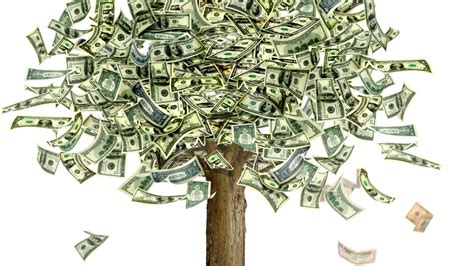 What are the rules of a money tree?