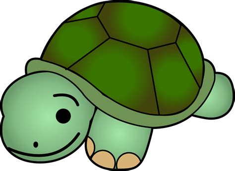 Why do turtles stay in the same spot?