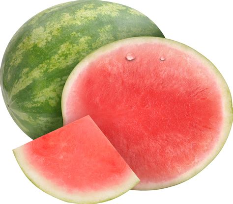 What are the top 5 watermelon producing states?