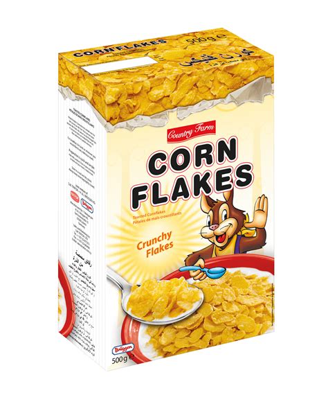 why-is-it-illegal-to-buy-corn-flakes-on-sundays-rewrite-the-rules