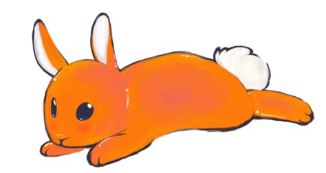 Why Is My Bunnies Pee Orange? - Rewrite The Rules