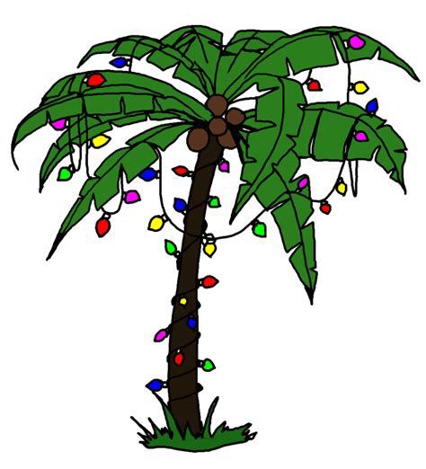 Why We Don'T Put Christmas Lights On Palm Trees? - Rewrite The Rules